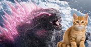 تبدیل گودزیلا به گربه در تصویر جدید Godzilla x Kong