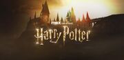 شبکه HBO وظیفه ساخت سریال Harry Potter را بر عهده گرفت