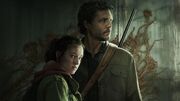 اطلاعات جدیدی از فیلمبرداری فصل دوم The Last of Us منتشر شد