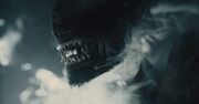 فیلم‌برداری سریال Alien تمام شد