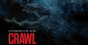 فیلم Crawl 2 در دست ساخت قرار دارد