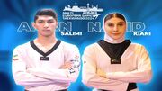 دستیابی تکواندوکاران ایرانی به ۲ مدال طلا و نقره در رقابت‌های آزاد ترکیه
