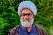روحانی شیعی پاکستانی به عنوان سناتور انتخاب شد