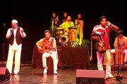 گروه «هیرون» با موسیقی بوشهری در فرهنگ سرای نیاوران