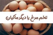 تخم مرغ یا دیگر ماکیان؟