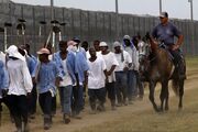آمریکا از زندانیان مانند برده کار می‌کشد