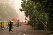 وزش باد شدید در تهران طی ۲ روز آینده