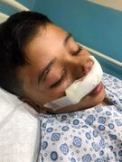 پسر نوجوان کرجی در اثر گاز گرفتگی سگ روانه بیمارستان شد