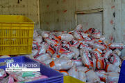 ذخیره سازی ۱۵۰۰ تن مرغ منجمد در لرستان