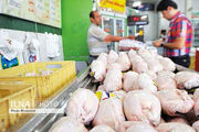 افزایش اندک قیمت مرغ/ نرخ روز انواع گوشت مرغ درب کشتارگاه