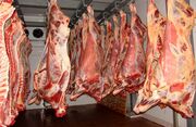 اعلام آخرین قیمت دام سبک / تداوم غلبه واردات بر تولید گوشت گوسفندی