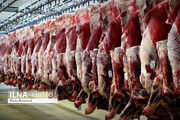 افزایش قیمت گوشت گوسفند در روزهای گذشته