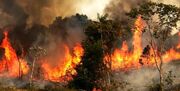 ۵۰ هکتار از اراضی ملی پلدختر در آتش سوخت