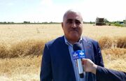مشارکت بیش از 34 هزار کشاورز آذربایجان غربی در طرح جهش تولید در دیم زار‌ها
