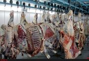 رسیدگی به پرونده تقلب در فروش گوشت گاو و گوساله غیر بهداشتی در اصفهان
