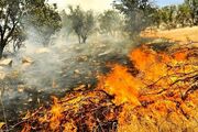 نامه به استانداران برای شناسایی عاملان آتش‌سوزی‌های عمدی جنگل‌ها توسط دستگاه‌های اطلاعاتی و امنیتی