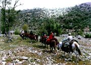 جاده کرج - چالوس بسته شد / دسترسی محلی برقرار است