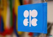 پیش بینی اوپک از تقاضای تابستانی قوی برای نفت