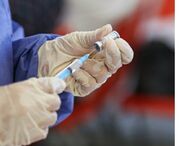 تزریق ۲۳۶۷ مورد واکسن هاری از ابتدای طرح سلامت نوروزی تاکنون