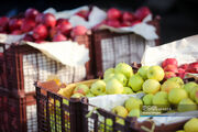قیمت‌ میوه و تره‌ بار امروز ۸ فروردین ۱۴۰۳ + جدول