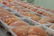 افزایش ۳۰ درصدی تولید مرغ لرستان در دولت سیزدهم