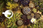 کهگیلویه و بویراحمد بهشت سرمایه‌گذاری در عرصه گیاهان دارویی؛ فرصتی که از دست می‌رود