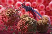 پیشرفت چشمگیر ایران در کنترل بیماری مالاریا / پیشتازی در گسترش نظام تشخیص آزمایشگاهی