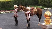 جشنواره اسب‌ دوانی ترکمن ۱۴۰۳ + تاریخچه Turkmen Racing Horse Festival