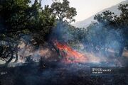 ضرورت برخورد جدی دستگاه قضا با عاملان آتش‌سوزی عمدی جنگل‌ها