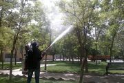 اجرای عملیات سم‌پاشی درختان و گل‌های زینتی در سطح شهر سمنان