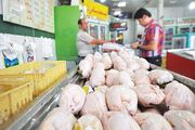 قیمت مرغ و گوشت امروز ۳۰ اردیبهشت ۱۴۰۳ + جدول
