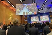 یک دقیقه سکوت در کنفرانس جهانی امنیت هسته‌ای وین به احترام شهادت رئیس جمهوری ایران