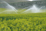 ۷۰ هزار هکتار از اراضی کشاورزی چهارمحال‌ و بختیاری تحت پوشش آبیاری نوین است
