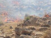 آتش سوزی گسترده در مراتع تیغن از توابع باغملک