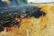 احتمال وقوع آتش سوزی در عرصه های منابع طبیعی استان اردبیل