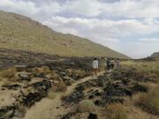 حریق در بخشی از مراتع ارتفاعات شیرکوه در یزد