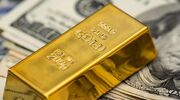 ذخایر ارز و طلای بانک مرکزی افزایش یافت