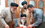 آیت‌الله محمودی گلپایگانی رای خود را به صندوق انداخت