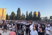 حضور ده‌ها هزار فلسطینی در نماز عید قربان در مسجد الاقصی
