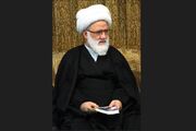 تجلیل آیت‌الله یعقوبی از تیم‌های پزشکی در خدمت رسانی به زائران اربعین