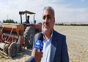 آغاز کشت پاییزه کلزا در مزارع آذربایجان غربی
