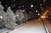 برف ، باران و سرما در راه کرمان