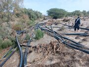خسارت ۷۰۰ میلیارد تومانی سیلاب به بخش کشاورزی سیستان و بلوچستان