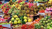 برداشت بیش از ۲۵۲ هزار تن انواع محصولات گرمسیری ازباغات سیستان و بلوچستان