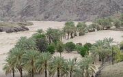 ادامه انسداد ۱۰۱ راه روستایی در جنوب سیستان و بلوچستان براثر بارندگی‌ اخیر