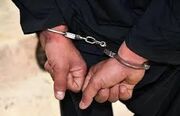 دستگیری عامل قدرت نمایی در رفسنجان