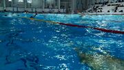 ملی پوشان شنای اصفهان در تلاش برای کسب سهمیه المپیک