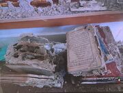 تکذیب آلودگی کتب تاریخی سمنان به موریانه