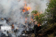 آتش‌سوزی در جنگل‌های مریوان تاکنون هفت مصدوم داشت / اعزام بالگرد از تهران برای مهار آتش
