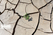 تشدید روند خشکسالی‌ها در جهان/ شرایط نگران‌کننده‌تر خاورمیانه